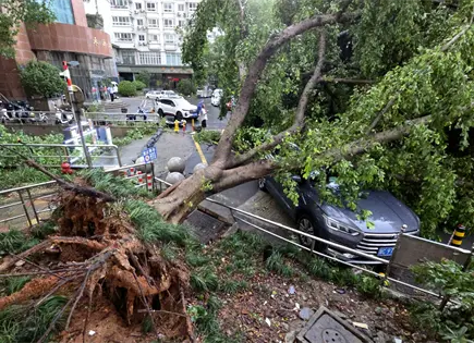 Tormenta tropical Dolphin causa inundaciones en el este de China Tormenta tropical Dolphin causa inundaciones en el este de China