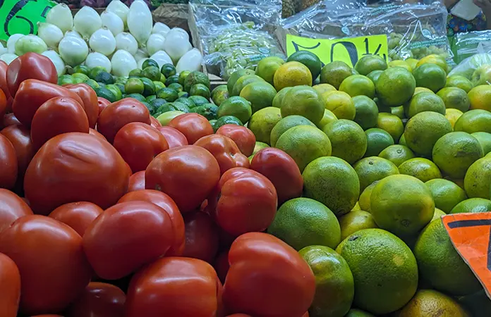 Arancel impacta al jitomate potosino