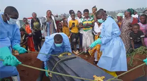Brote de &eacute;bola en Congo avanza r&aacute;pido y supera brotes anteriores