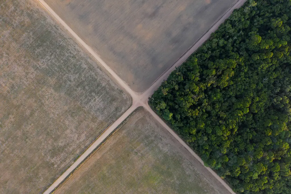 Fallo en Brasil valida pacto ambiental y leyes contra incentivos fiscales