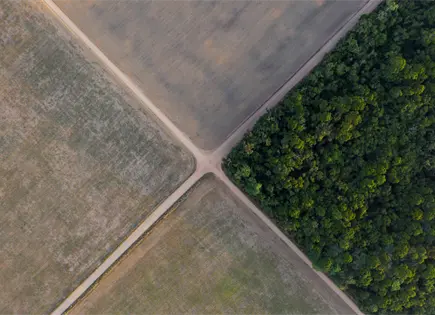 Fallo en Brasil valida pacto ambiental y leyes contra incentivos fiscales