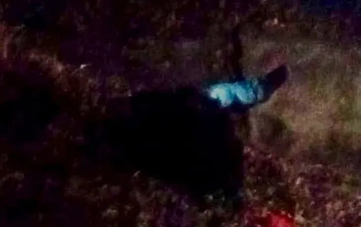 Hallan sin vida a hombre privado de la libertad en Tamuín