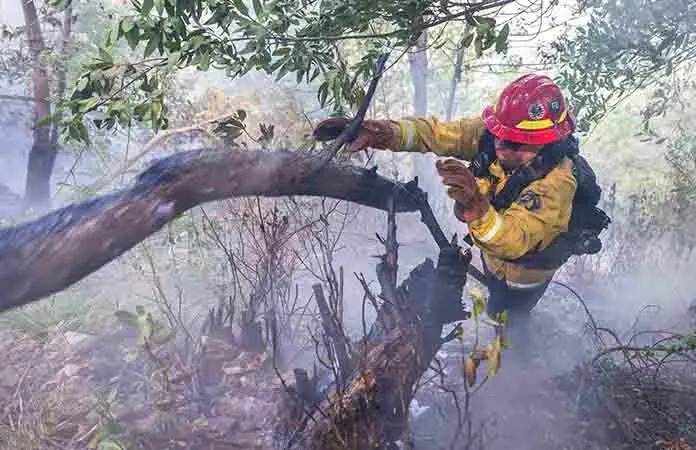 Incendio forestal en Canadá provoca muerte de mujer