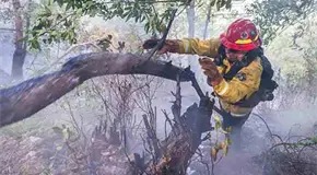 Incendio forestal en Canadá provoca muerte de mujer Incendio forestal en Canadá provoca muerte de mujer