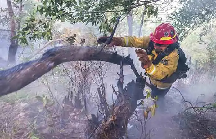 Incendio forestal en Canadá provoca muerte de mujer Incendio forestal en Canadá provoca muerte de mujer