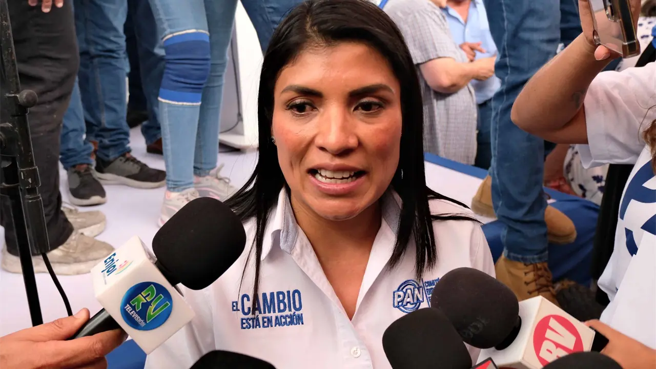 Analiza PAN caminos legales contra miniprecampañas