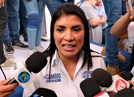 Analiza PAN caminos legales contra recorte a precampa&ntilde;as