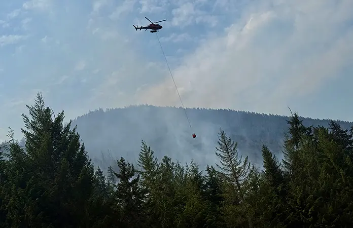 Escapan 20 mil personas de veloz incendio forestal