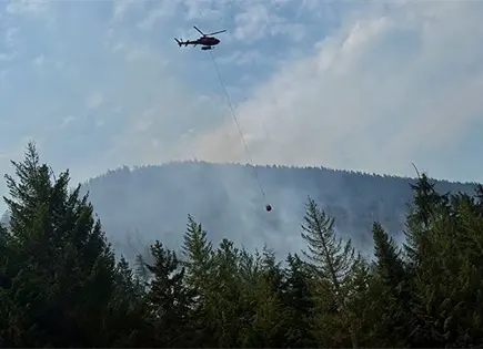 Escapan 20 mil personas de veloz incendio forestal Escapan 20 mil personas de veloz incendio forestal