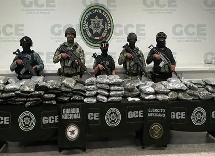 Consumo y detenciones dispararon decomiso de cannabis: SSPC