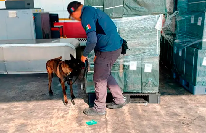 Aseguran más de 2 millones de cigarros