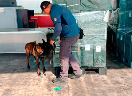 Aseguran m&aacute;s de 2 millones de cigarros