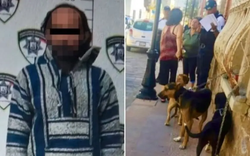 Detiene a hombre por maltrato animal; rescatan a cinco perros