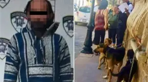 Detiene a hombre por maltrato animal; rescatan a cinco perros