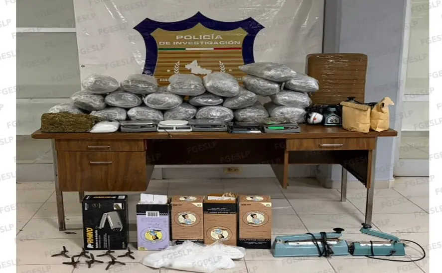 Hallan más de 33 kilos de presunta marihuana en cateo en Valles