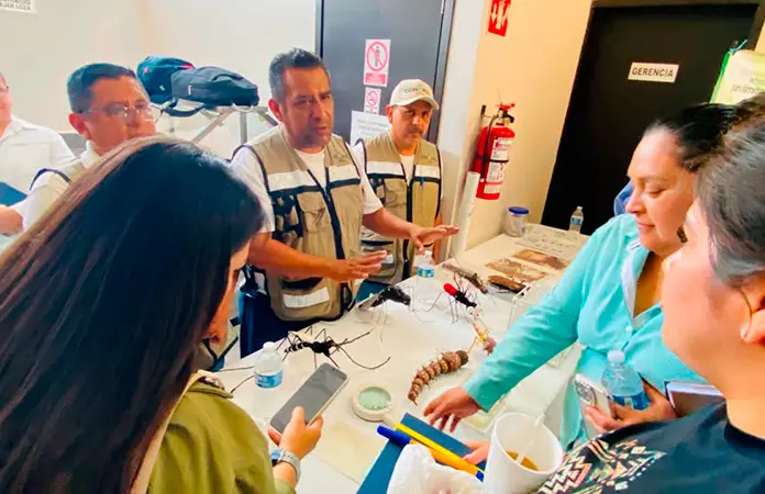 Ofrecen foro Todos contra el dengue