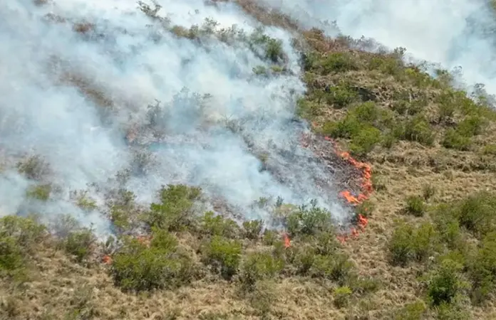 Rayo provoca incendio forestal en Sierra de San Carlos, Tamaulipas