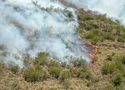 Rayo provoca incendio forestal en Sierra de San Carlos, Tamaulipas Rayo provoca incendio forestal en Sierra de San Carlos, Tamaulipas