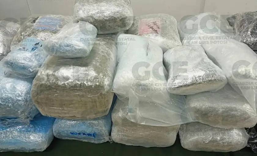 Se disparan decomisos de marihuana y metanfetamina en 2025