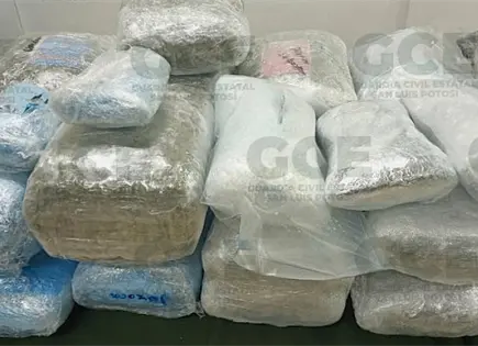 Se disparan decomisos de marihuana y metanfetamina en 2025