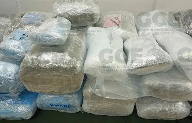 Se disparan decomisos de marihuana y metanfetamina en 2025 Se disparan decomisos de marihuana y metanfetamina en 2025