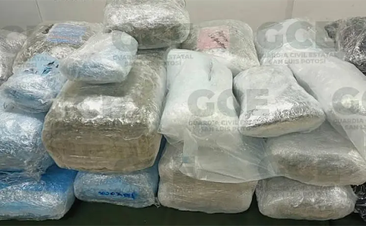 Se disparan decomisos de marihuana y metanfetamina en 2025 Se disparan decomisos de marihuana y metanfetamina en 2025