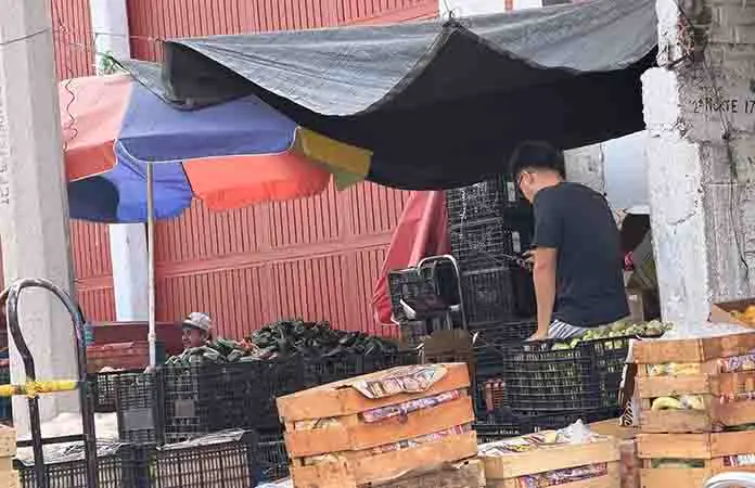 Inspeccionan y verifican 98 rutas de tianguis en SGS