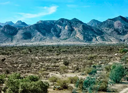 Pierde la capital 30 % de reserva territorial
