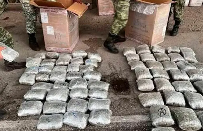 Se disparó un 275.1 % la incautación de marihuana