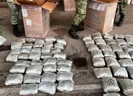 Se disparó un 275.1 % la incautación de marihuana Se disparó un 275.1 % la incautación de marihuana