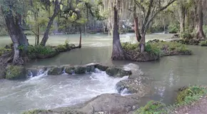Aumenta nivel de ríos; mantienen vigilancia en la Huasteca