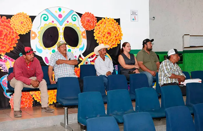 Capacitan para detectar el gusano barrenador