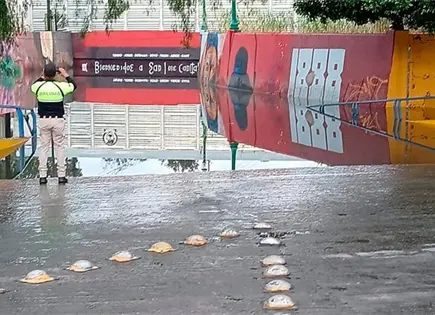 Prevén lluvias y tormentas para esta tarde en San Luis Potosí Prevén lluvias y tormentas para esta tarde en San Luis Potosí