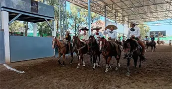 Cortijo Mobil campe&oacute;n y con boleto al Nacional