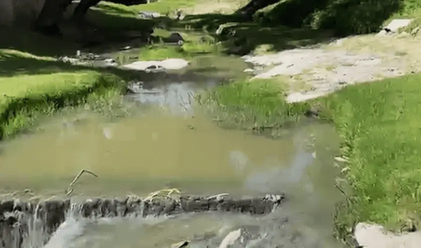 Video | Aguas negras invaden el cauce de Villa Antigua