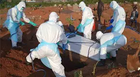 Brote de &eacute;bola, el peor en RDC