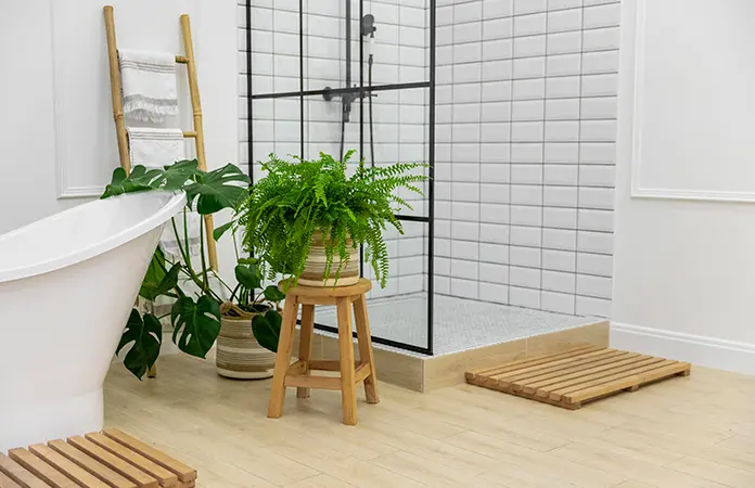 Cuatro plantas que ayudan a reducir la humedad en casa