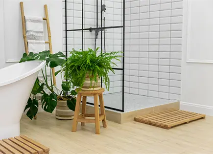 Cuatro plantas que ayudan a reducir la humedad en casa Cuatro plantas que ayudan a reducir la humedad en casa
