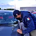Hallan en Fenapo decenas de autos robados (fotos)