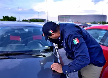 Hallan en Fenapo decenas de autos robados (fotos)
