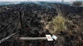 Fuego en B&eacute;lgica arde sin control