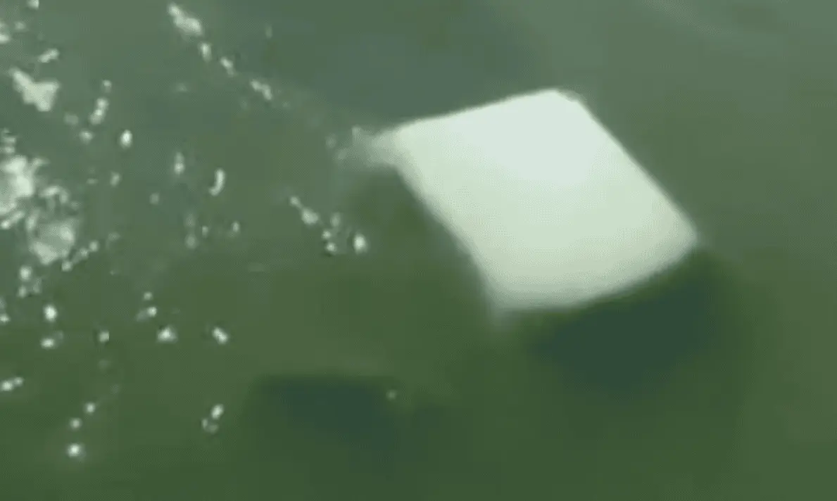 Mueren cuatro marinos tras caer con su camioneta a un río en Tamaulipas