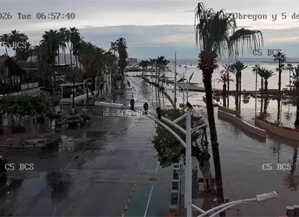 Tormenta causa daños y deja embarcaciones varadas en BCS Tormenta causa daños y deja embarcaciones varadas en BCS