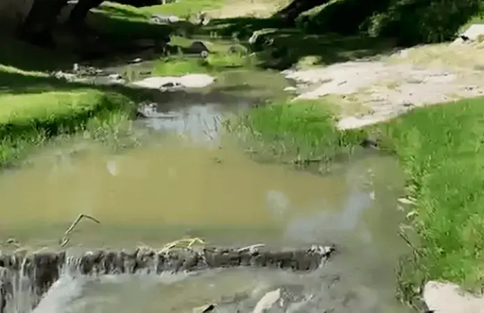 Aguas negras invaden cauce de Villa Antigua