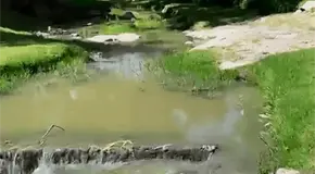 Aguas negras invaden cauce de Villa Antigua