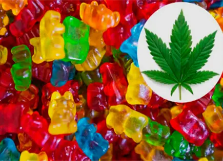 Cinco menores intoxicados por gomitas de marihuana Cinco menores intoxicados por gomitas de marihuana
