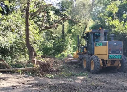 Investigan a Tecmol por tala en márgenes del río Valles Investigan a Tecmol por tala en márgenes del río Valles