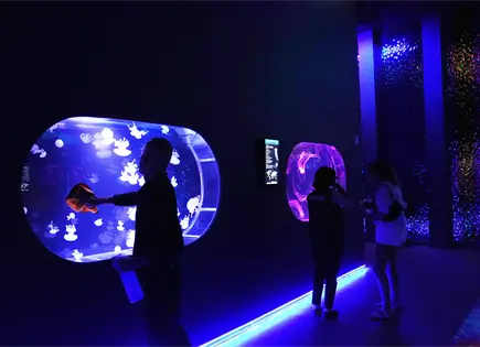 Abre en Florida un museo de medusas, un espacio dedicado solo a estos hipnóticos depredadores Abre en Florida un museo de medusas, un espacio dedicado solo a estos hipnóticos depredadores