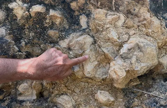 Ray&oacute;n guarda la historia de asteroide mortal