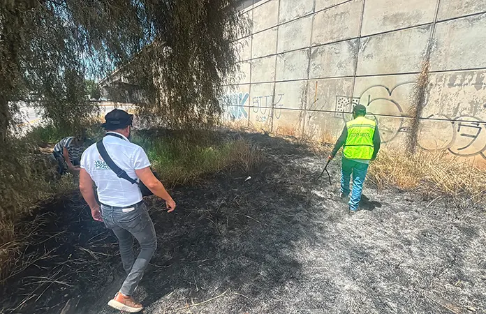 Rescatan a pata con sus patitos